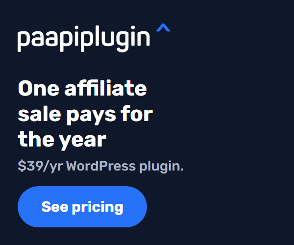 PaapiPlugin 300x250 medium rectangle, math variant: One affiliate sale pays for the year